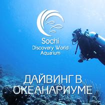 Дайвинг в Океанариуме